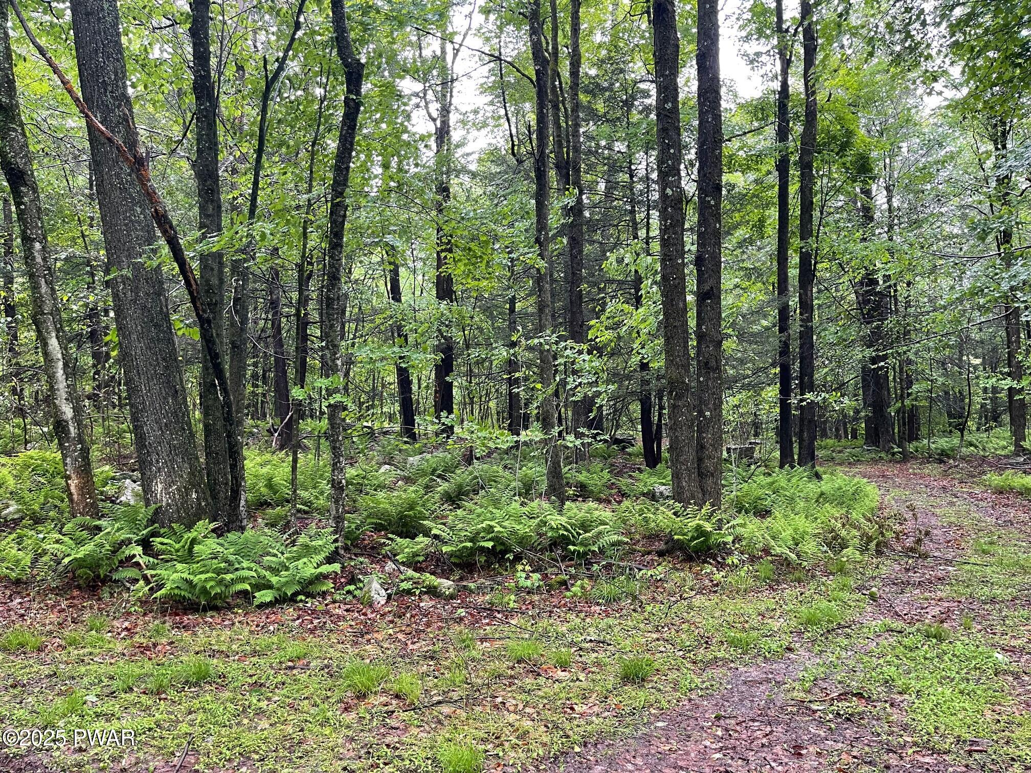 Wheelock Way, Honesdale, Pennsylvania image 6