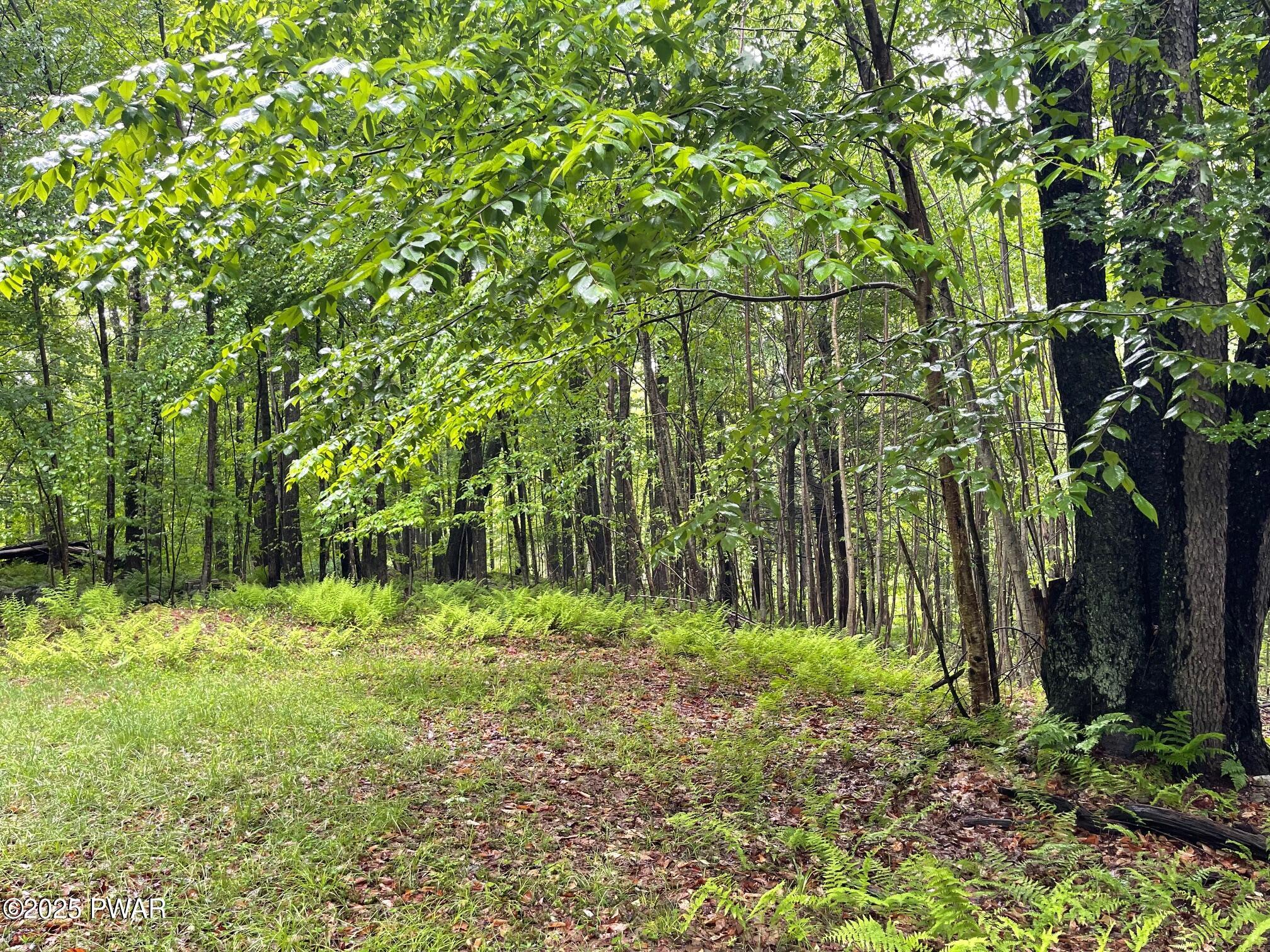 Wheelock Way, Honesdale, Pennsylvania image 17