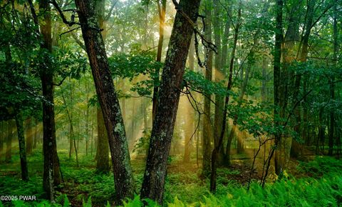 Vacant Land For Sale - 106 Lillypad Lane<br/> Hawley, PA 18428