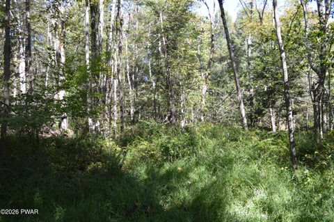 Vacant Land For Sale - LOT 113 Snow Drift Road<br/> Newfoundland, PA 18445