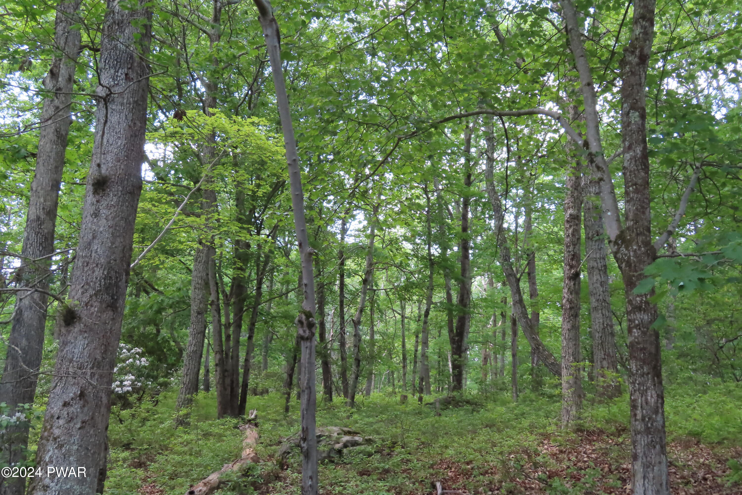 Lot 5733 Philwood Lane, Milford, Pennsylvania image 3