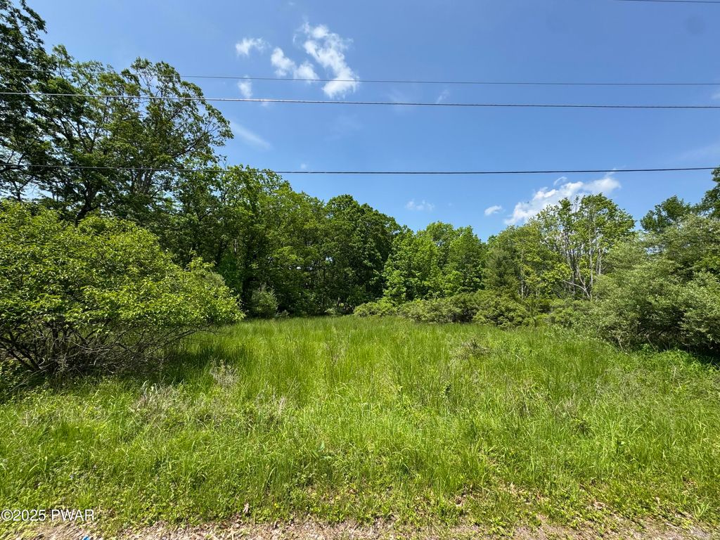 Photo of 35 Rosewood Lane, Lackawaxen, PA 18435 (MLS # PW252074)