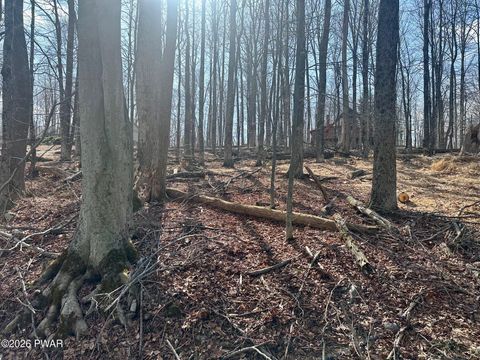 Vacant Land For Sale - LOT 86 Cherry Lane<br/> Greentown, PA 18426