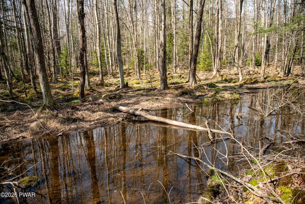 Photo of Rocky Swamp Rd 39, Pocono Lake, PA 18347 (MLS # PW260964)
