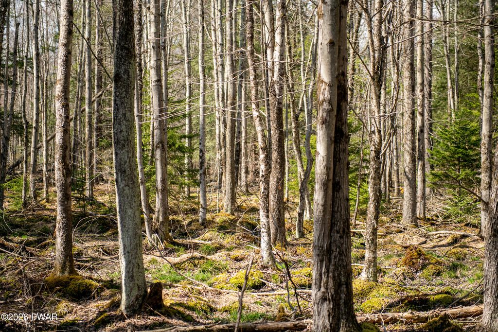 Photo of Rocky Swamp Rd 39, Pocono Lake, PA 18347 (MLS # PW260964)