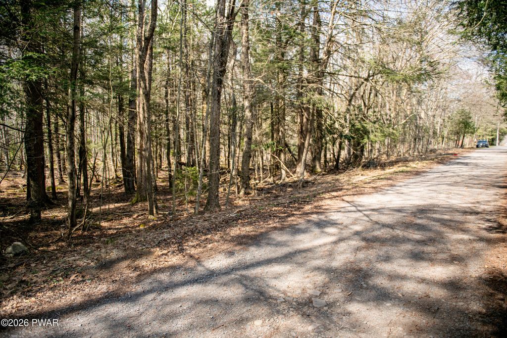 Photo of Rocky Swamp Rd 39, Pocono Lake, PA 18347 (MLS # PW260964)
