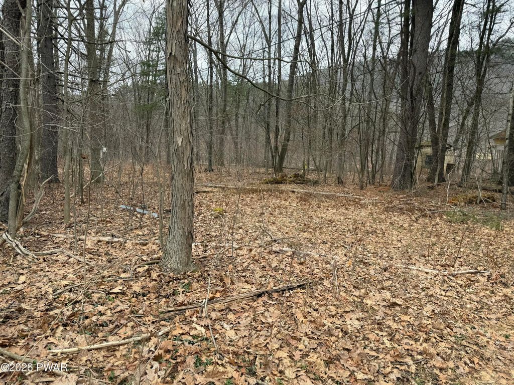 Photo of 5026 Hancock Hwy, Equinunk, PA 18417 (MLS # PW260591)