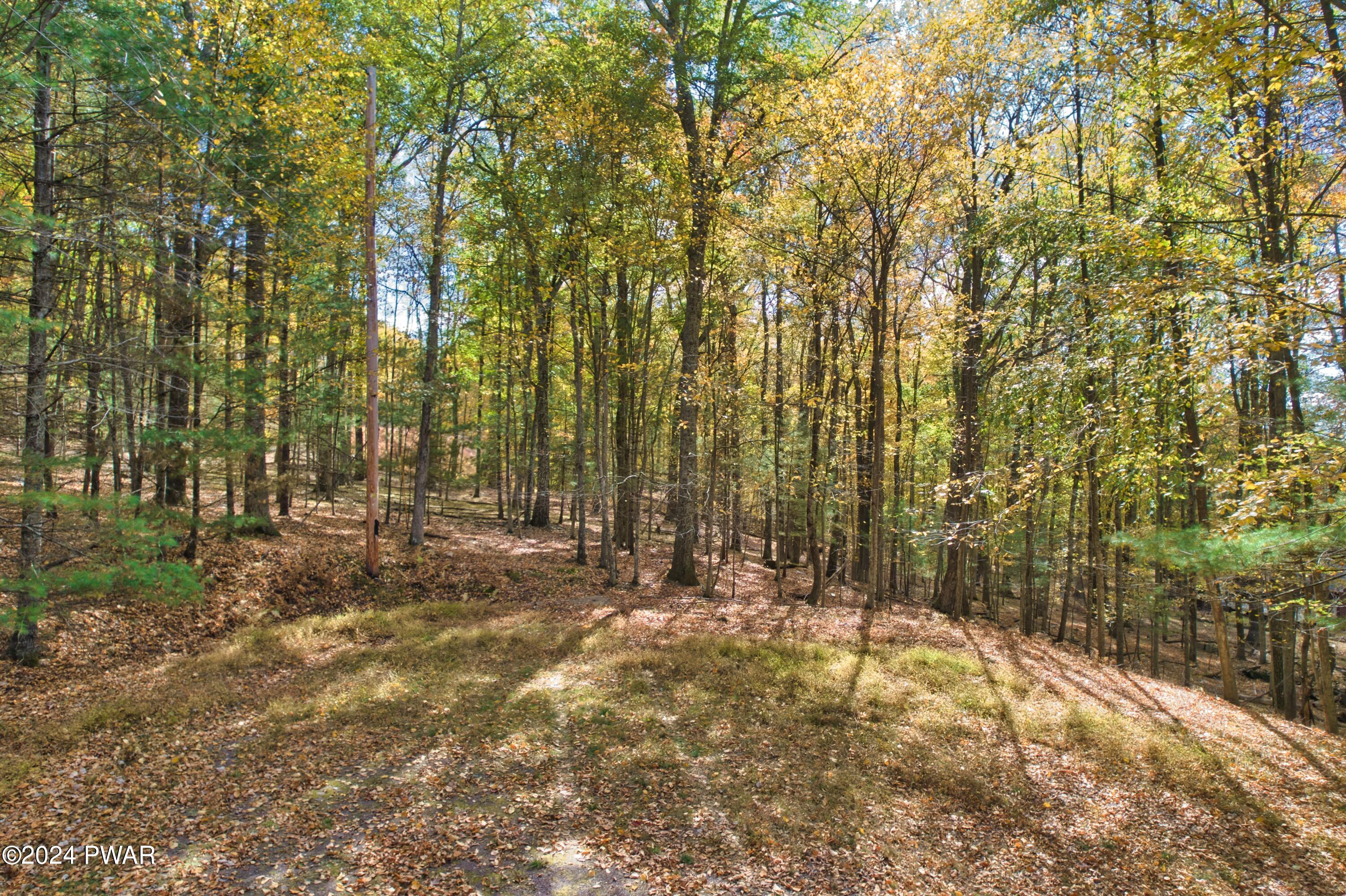 Lot 31 Elmwood Court, Hawley, Pennsylvania image 6