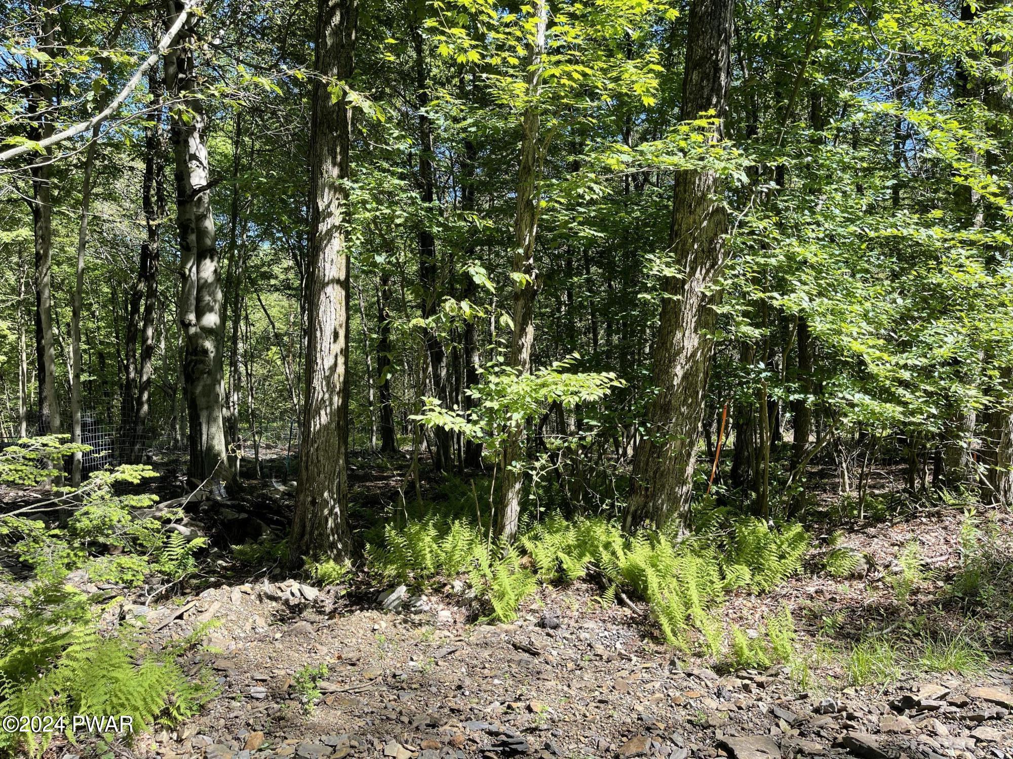 Huckleberry Road, Newfoundland, Pennsylvania image 4