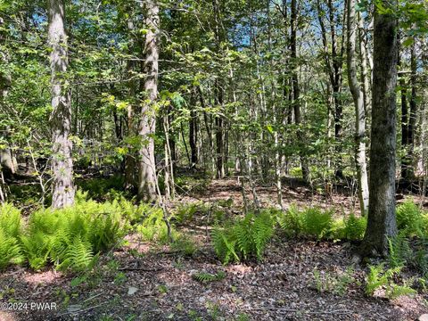 Vacant Land For Sale - Huckleberry Road<br/> Newfoundland, PA 18445
