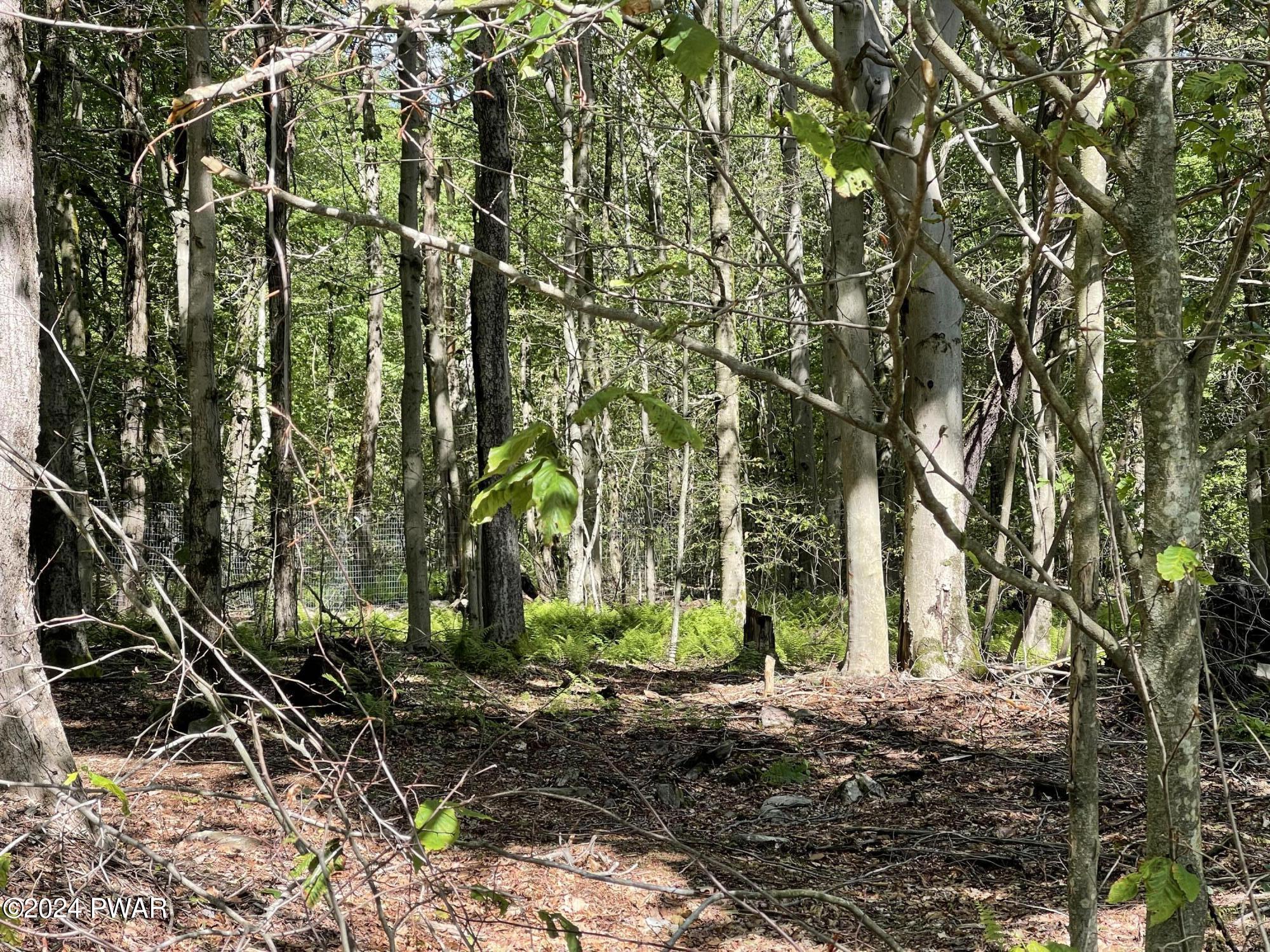 Huckleberry Road, Newfoundland, Pennsylvania image 3