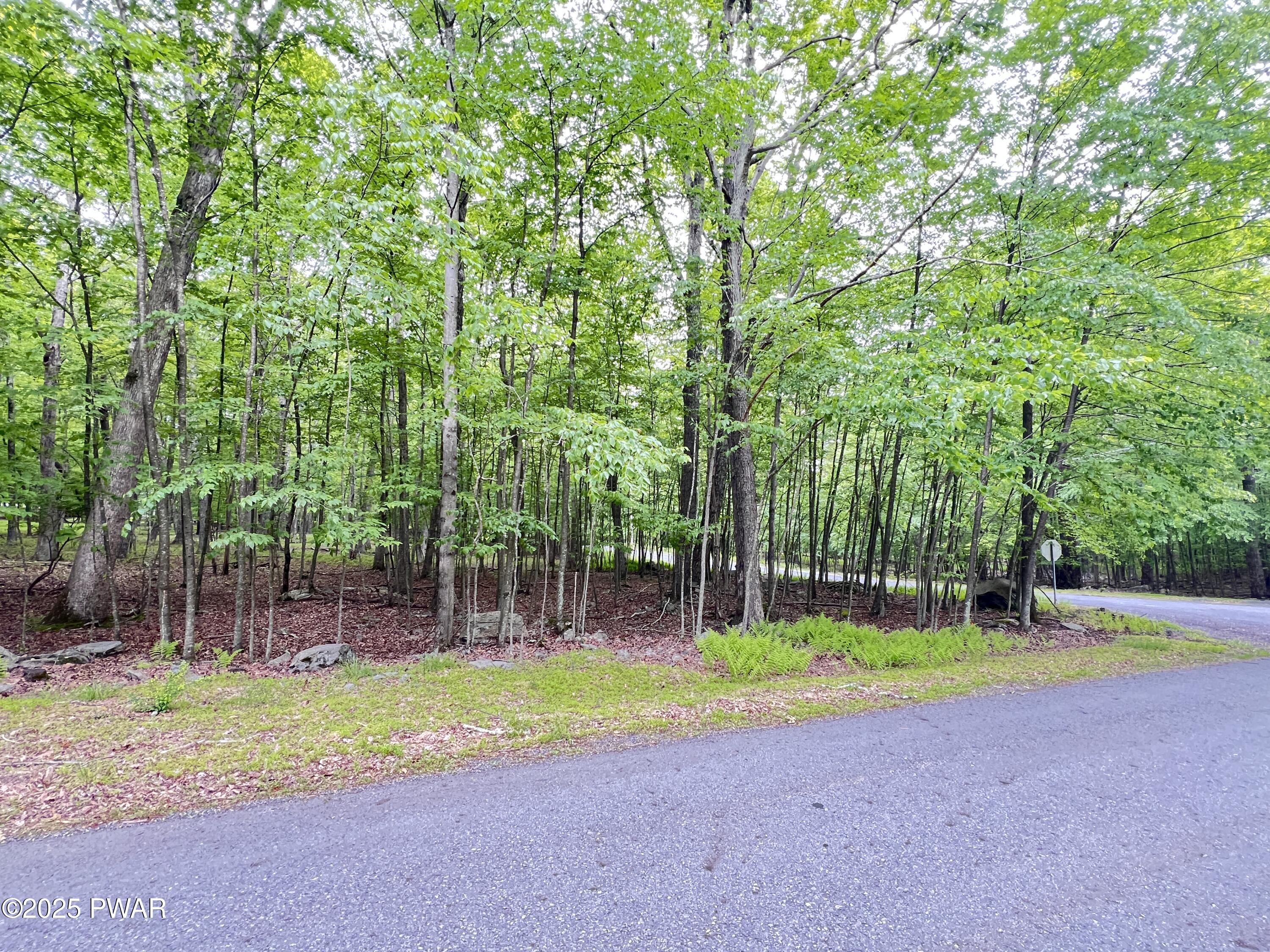 105 Duffys Drive, Dingmans Ferry, Pennsylvania image 1