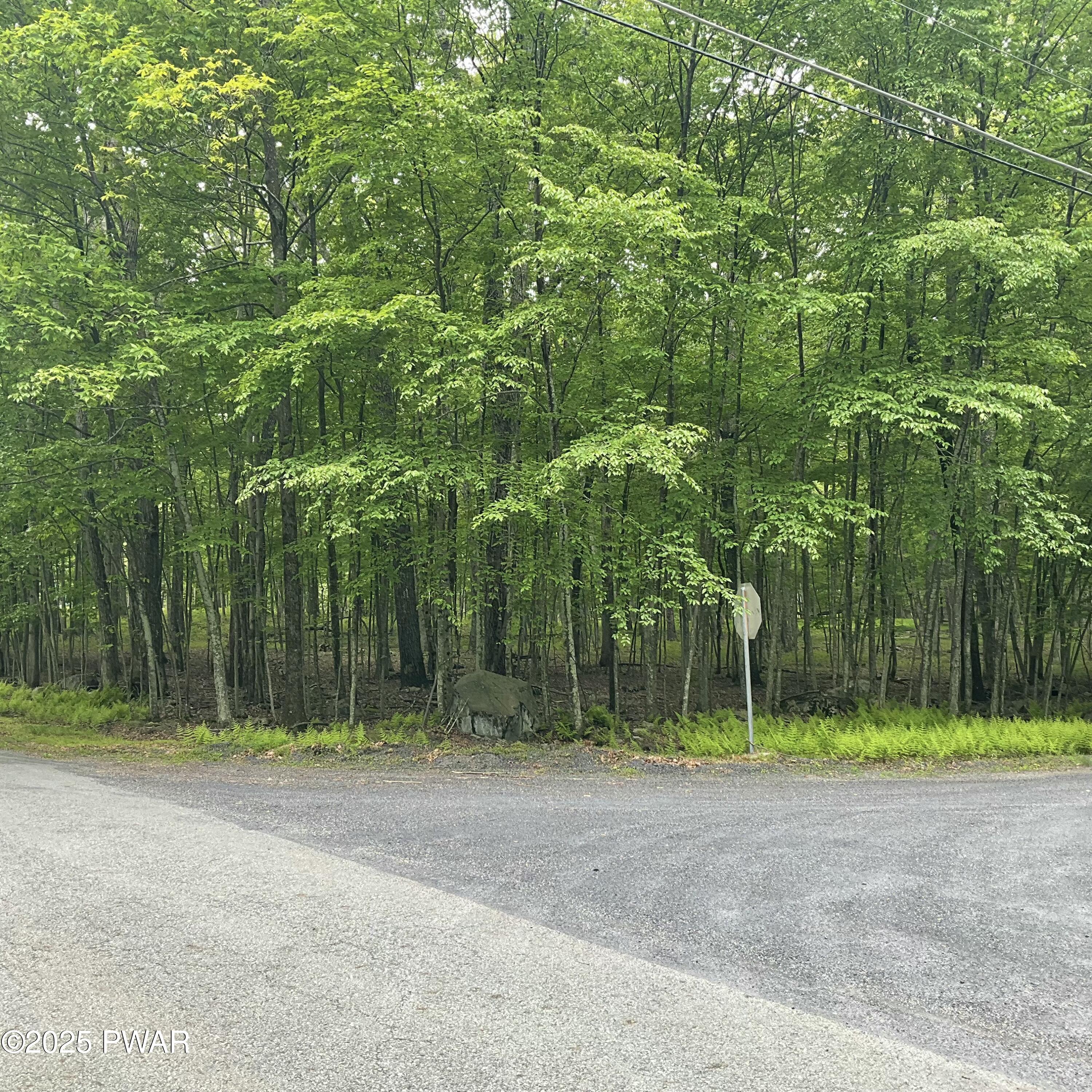 105 Duffys Drive, Dingmans Ferry, Pennsylvania image 2