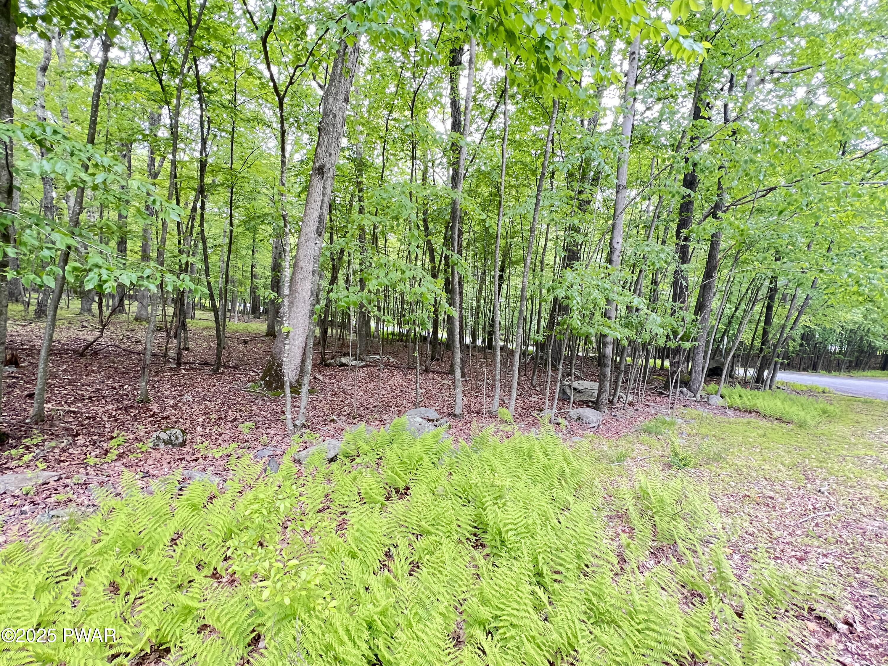 105 Duffys Drive, Dingmans Ferry, Pennsylvania image 6