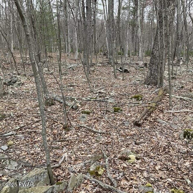 105 Duffys Drive, Dingmans Ferry, Pennsylvania image 4