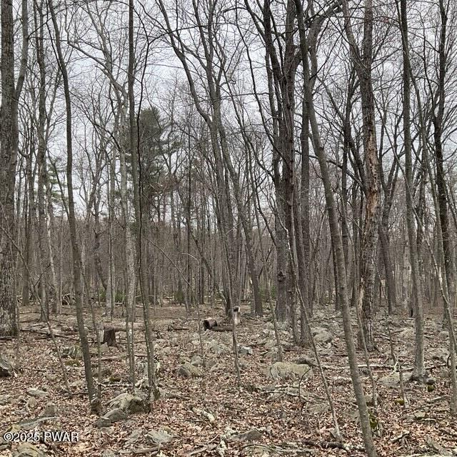 105 Duffys Drive, Dingmans Ferry, Pennsylvania image 2