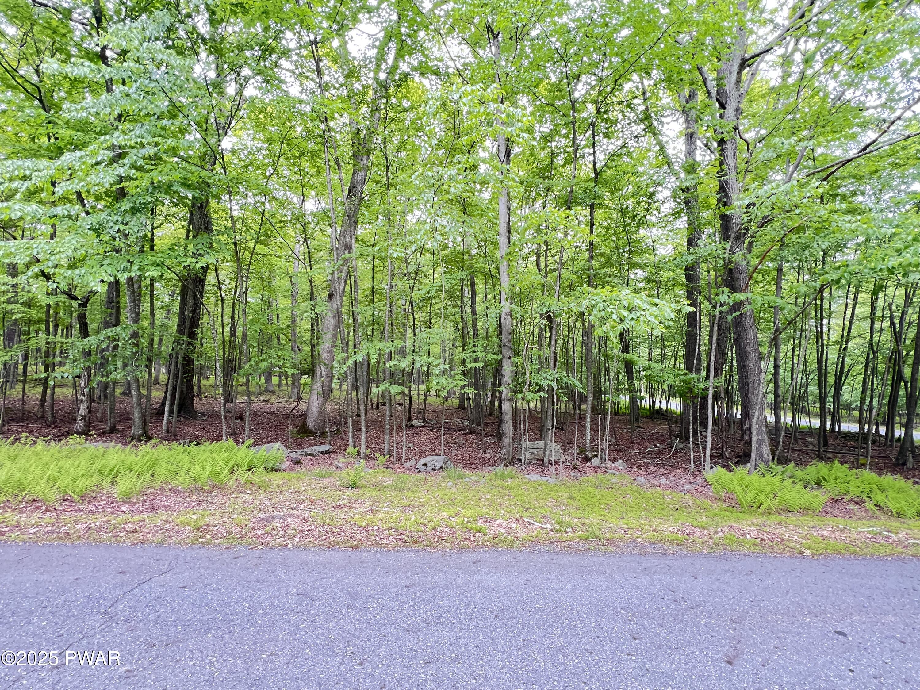 105 Duffys Drive, Dingmans Ferry, Pennsylvania image 5