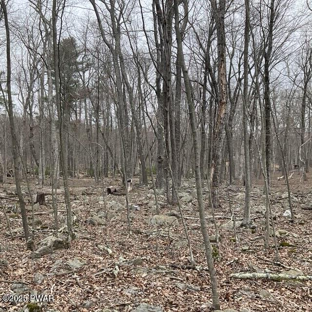 105 Duffys Drive, Dingmans Ferry, Pennsylvania image 3
