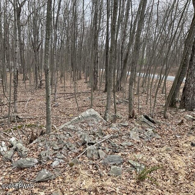 105 Duffys Drive, Dingmans Ferry, Pennsylvania image 5