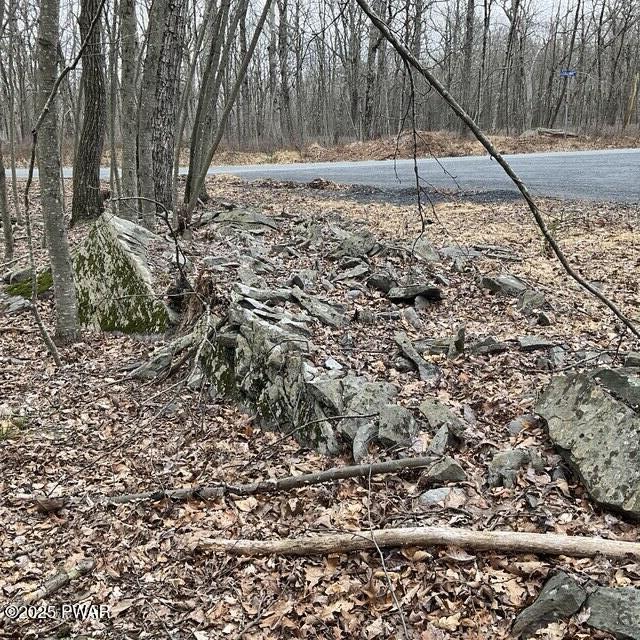 105 Duffys Drive, Dingmans Ferry, Pennsylvania image 1