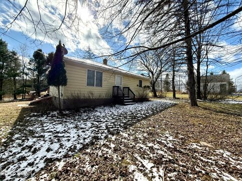 Homes For Sale - 356 Cochecton Turnpike<br/> Honesdale, PA 18431