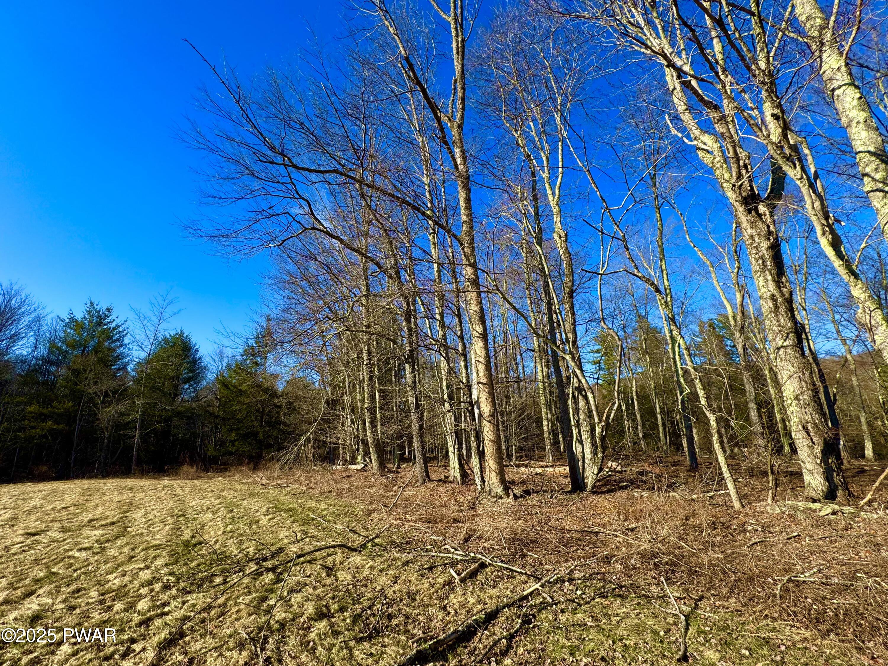 338 Layton Road, Equinunk, Pennsylvania image 6