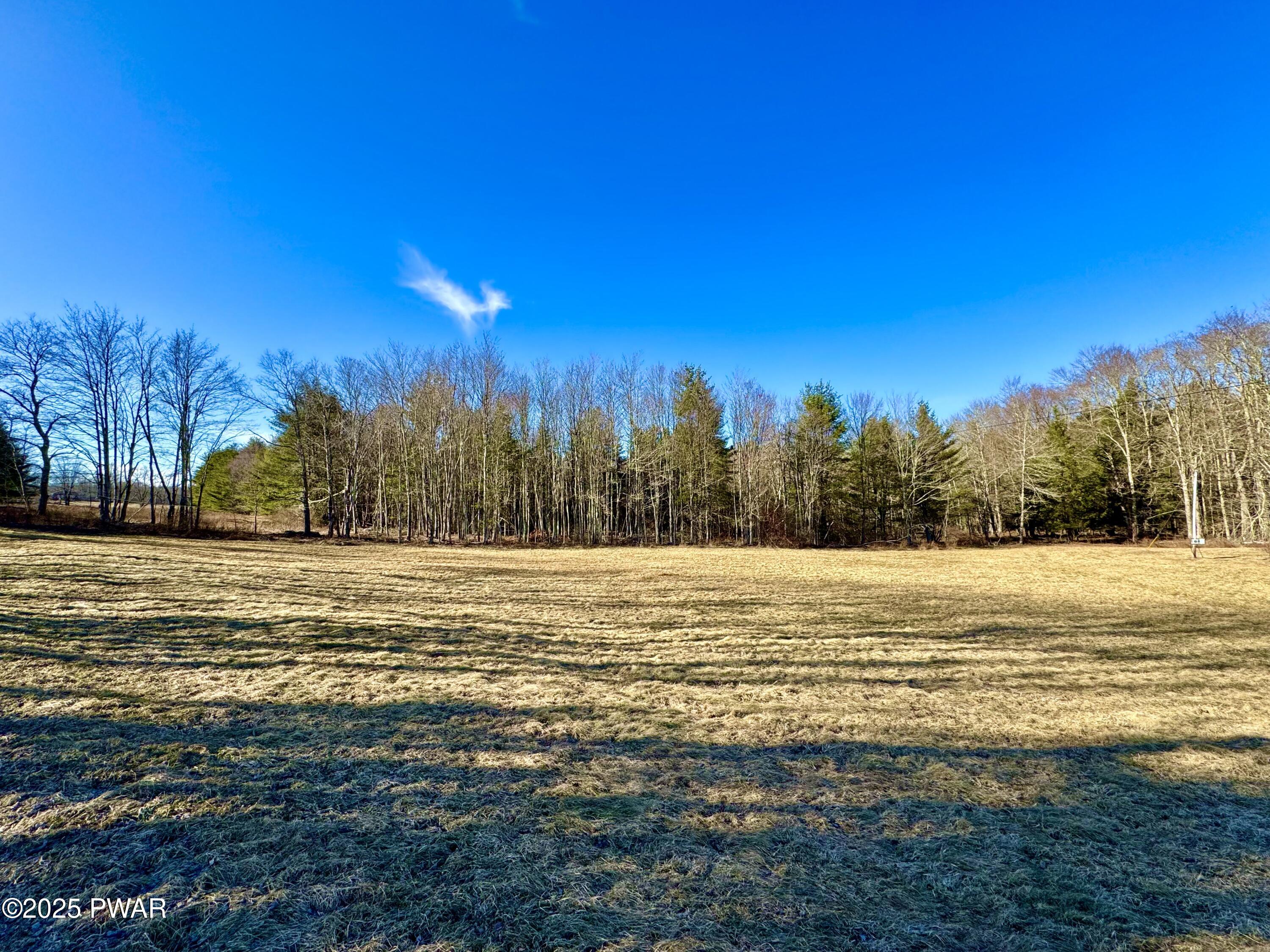 338 Layton Road, Equinunk, Pennsylvania image 3