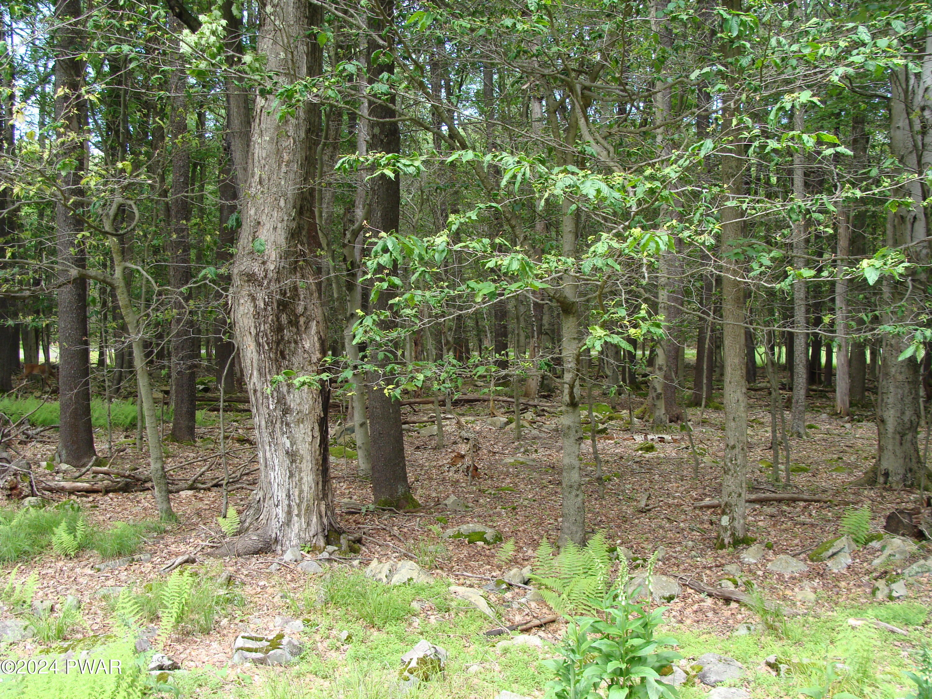 Valley Road, Newfoundland, Pennsylvania image 2