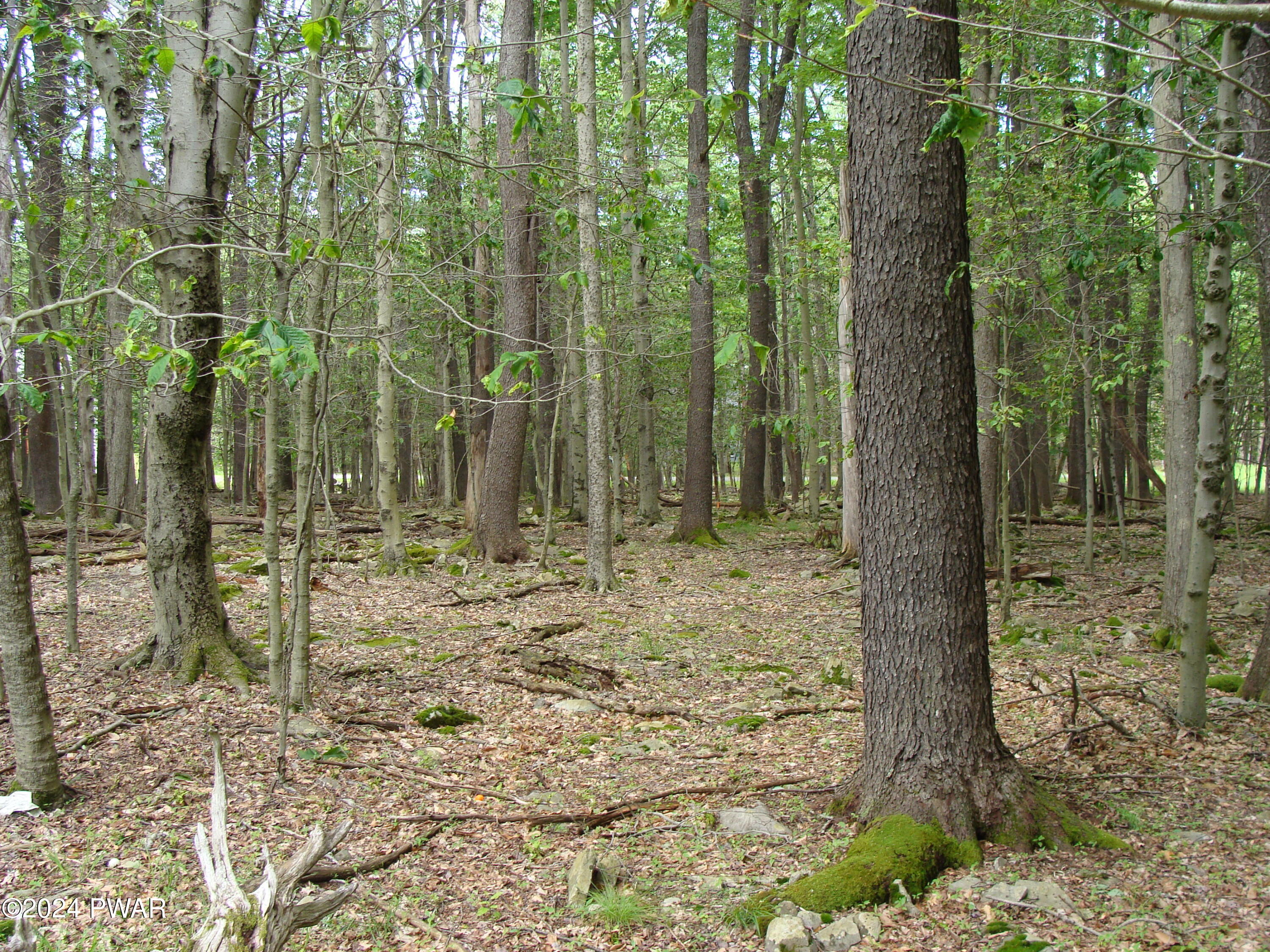 Valley Road, Newfoundland, Pennsylvania image 3