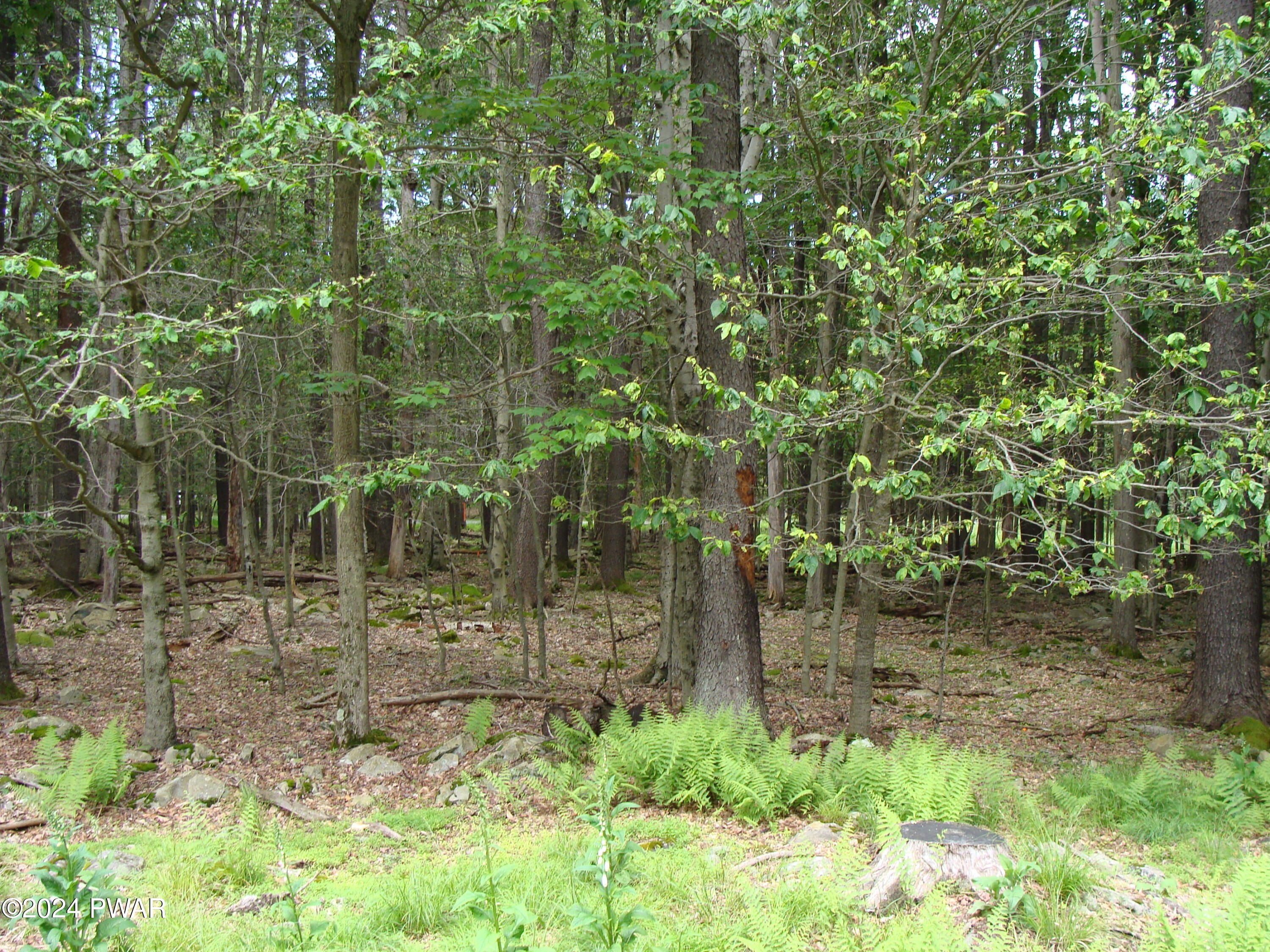 Valley Road, Newfoundland, Pennsylvania image 1