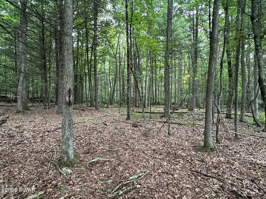 11 HOLIDAY DR, HAWLEY, PA 18428 - Image 8f72cf5ed4dfeebfc0e086ef0967e98f/3171398706