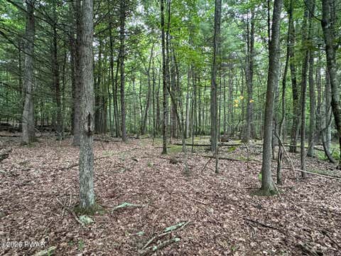 Vacant Land For Sale - LOT 11 Holiday Drive Dr<br/> Hawley, PA 18428