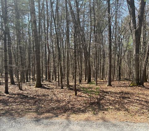 Vacant Land For Sale - 141 Hawks Nest Dr Drive<br/> Hawley, PA 18428