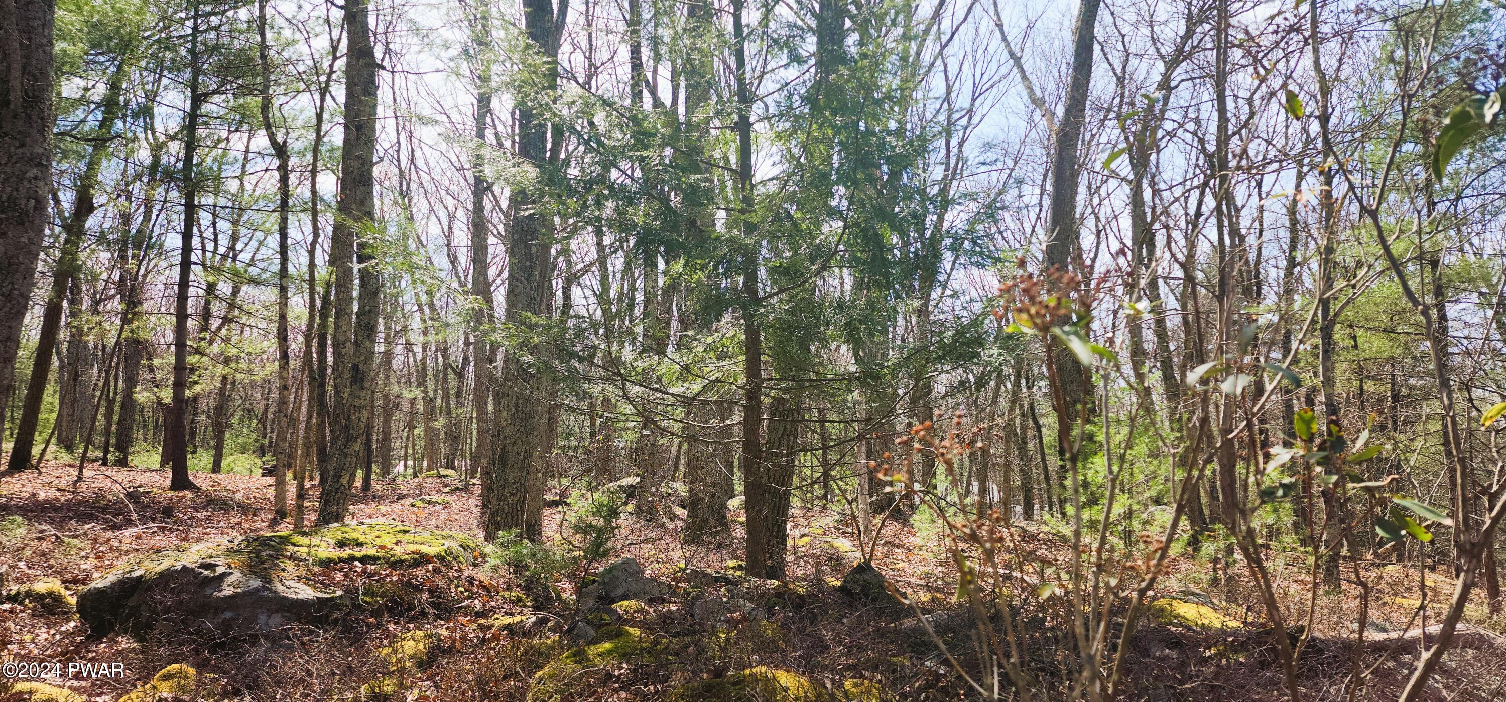 Lot 34-36 Neversink Road, Shohola, Pennsylvania image 4