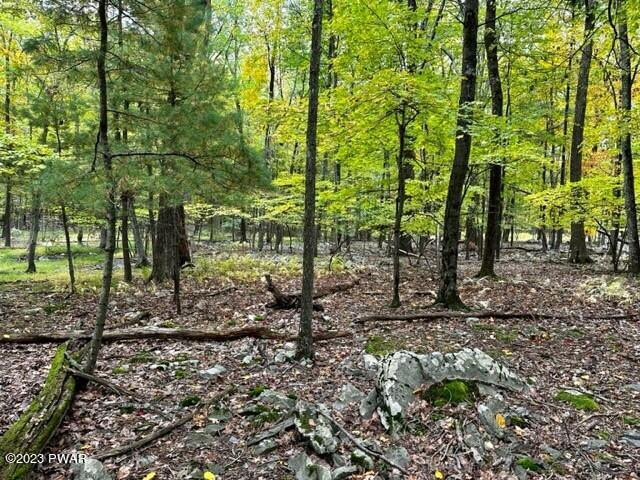 Lot 1255 Cornflower Lane, Milford, Pennsylvania image 5