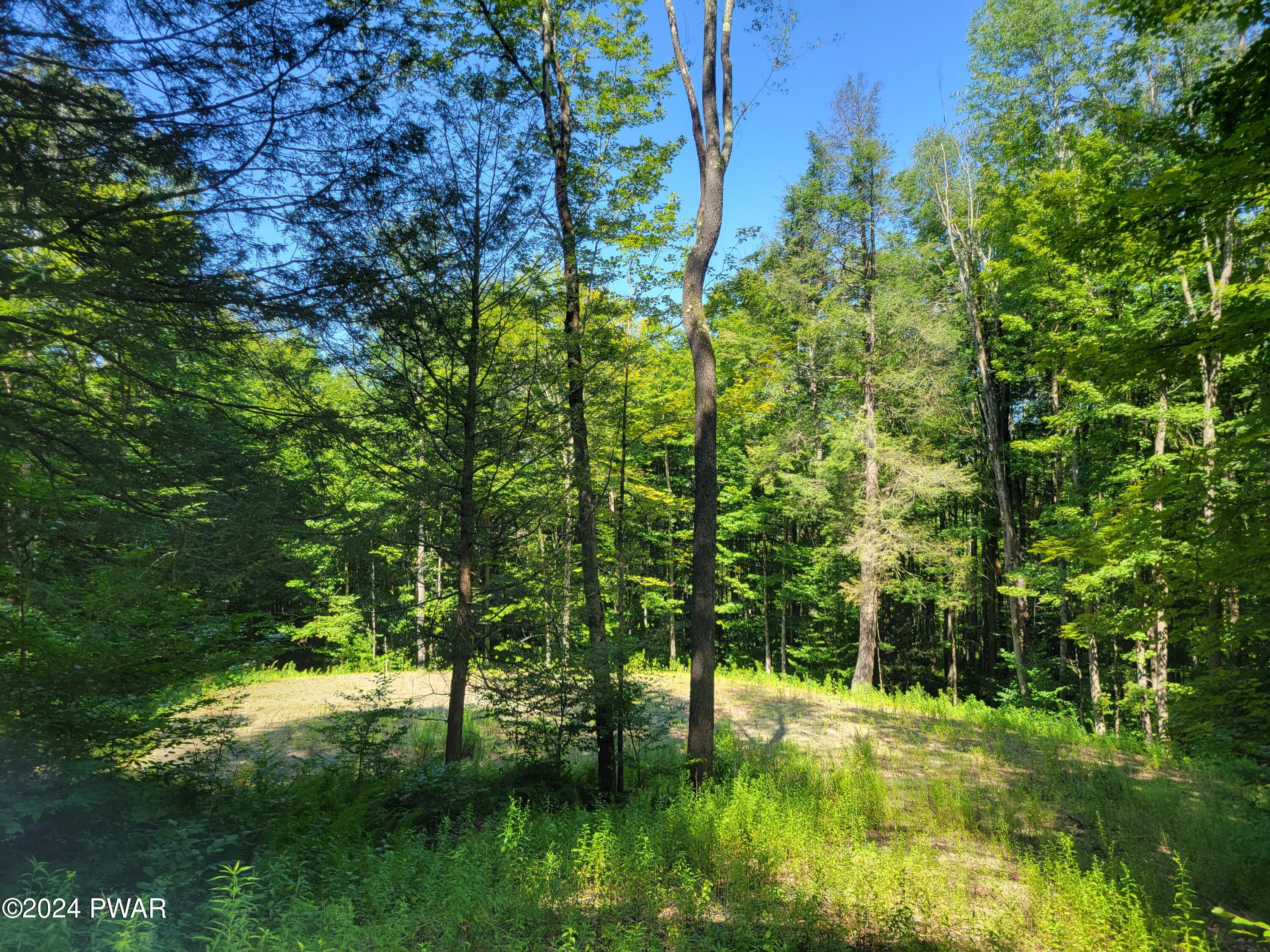 Turner Court, Pleasant Mount, Pennsylvania image 1