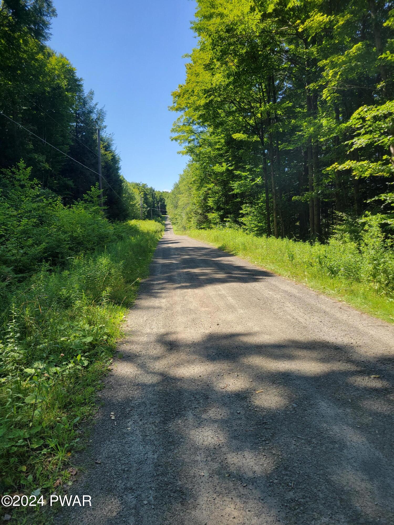 Turner Court, Pleasant Mount, Pennsylvania image 8