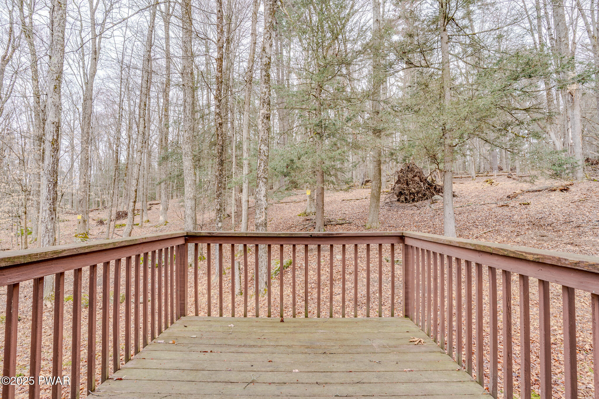 1084 Lakeland Drive, Lake Ariel, Pennsylvania image 32