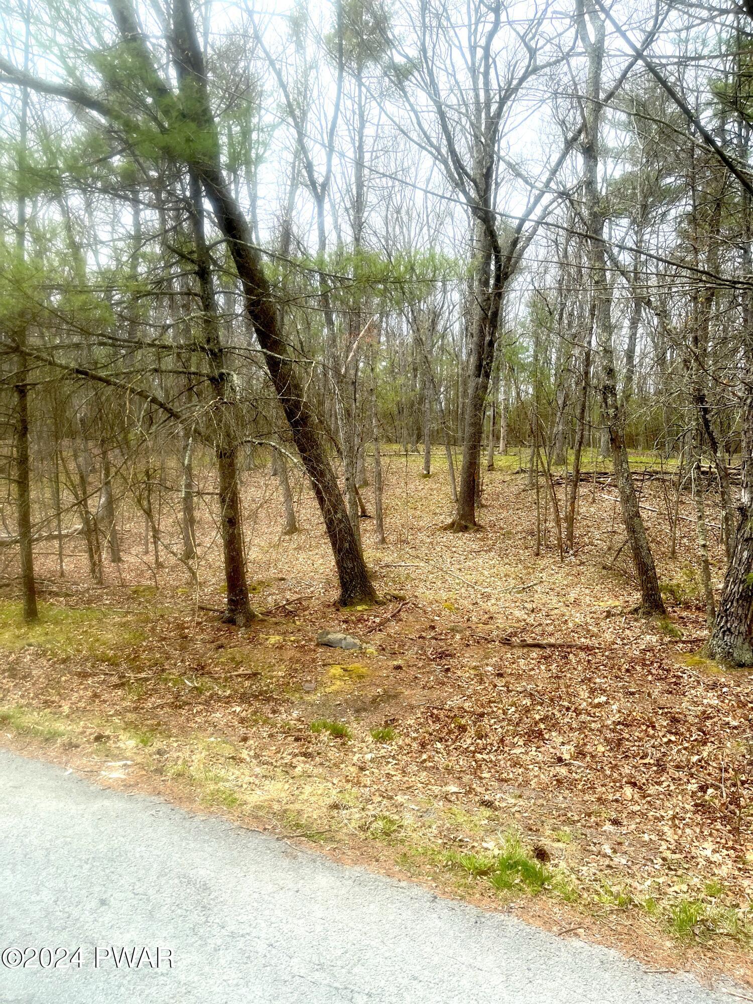 Hawley, Pennsylvania 18428, United States, ,Land,Pending,59615