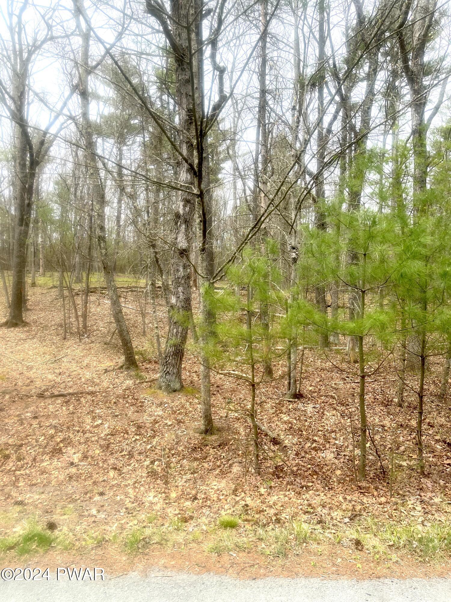 Hawley, Pennsylvania 18428, United States, ,Land,Pending,59615