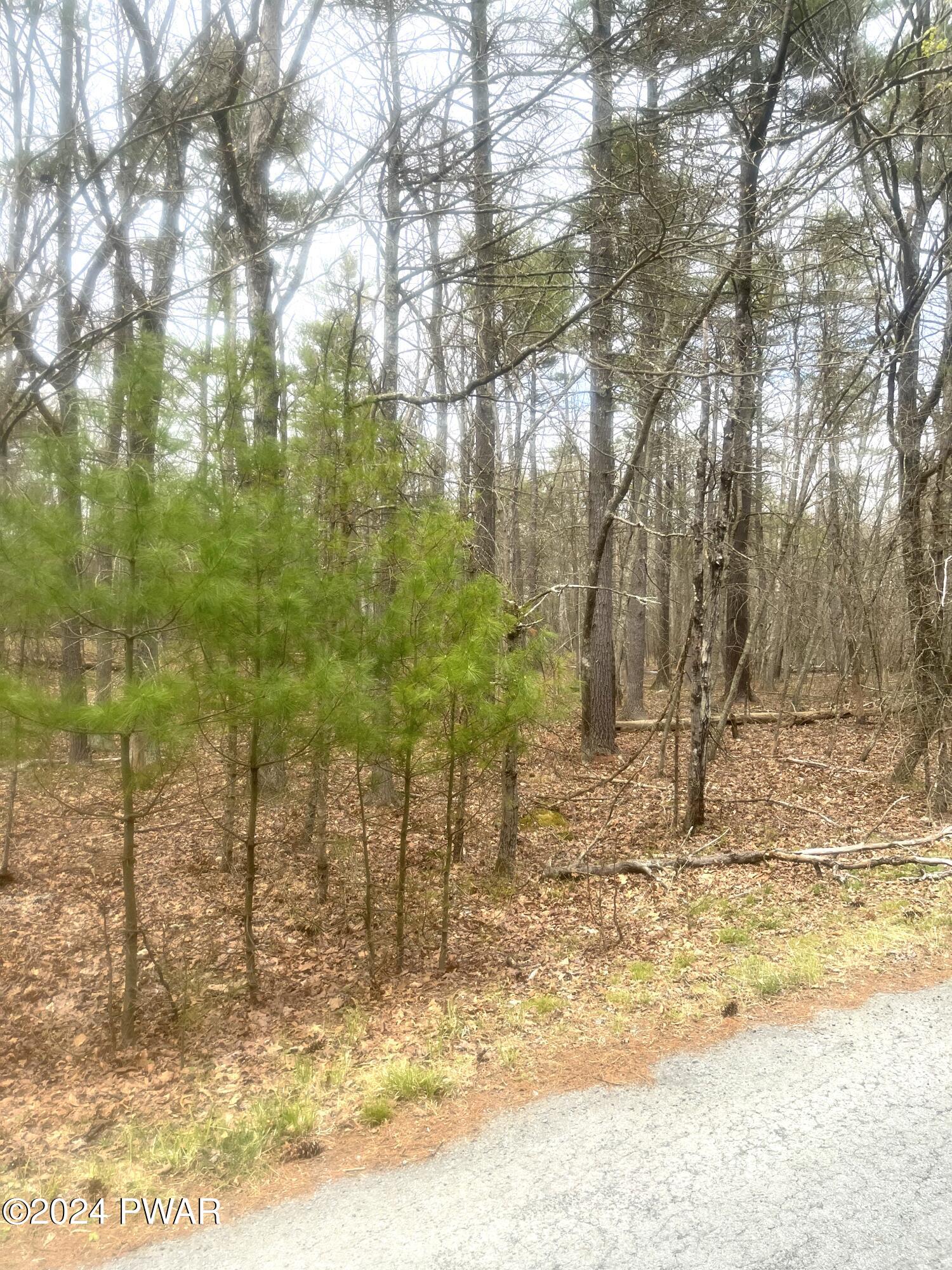 Hawley, Pennsylvania 18428, United States, ,Land,Pending,59615