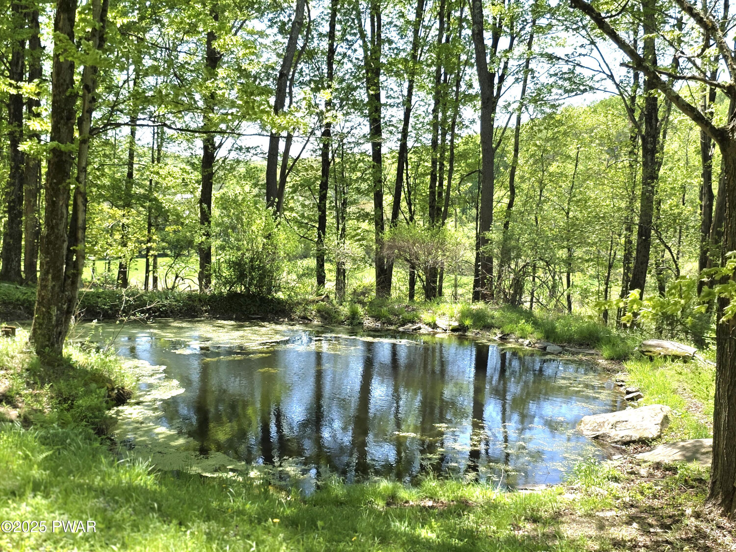 1304 Pratt Hollow Road, Nicholson, Pennsylvania image 44