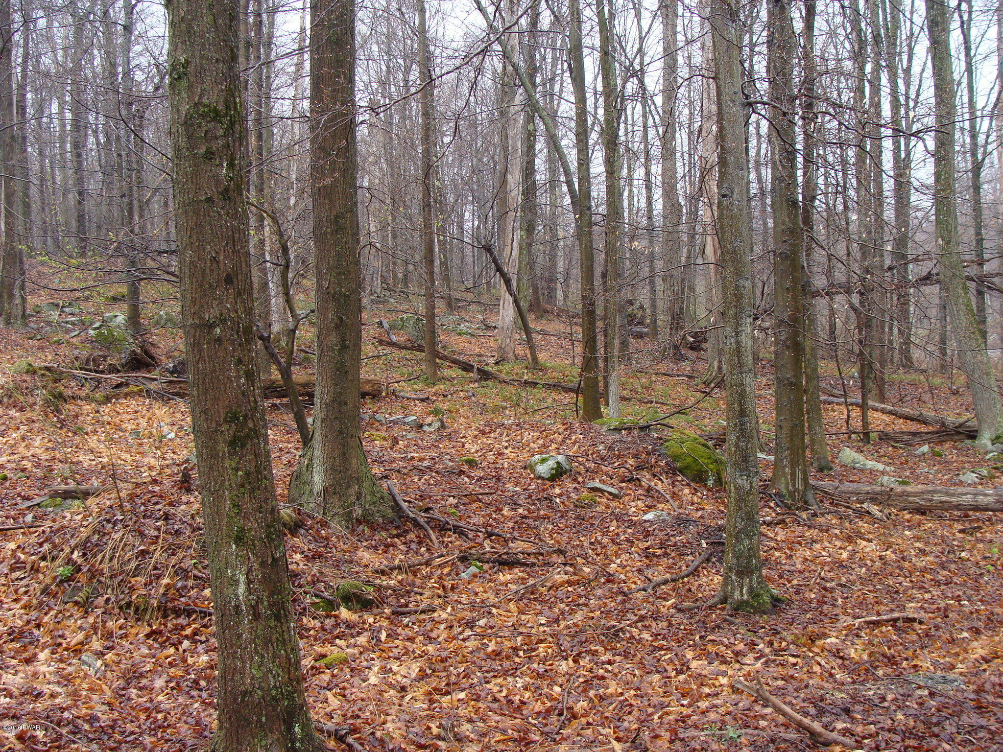 Lot 74 Alder Drive, Newfoundland, Pennsylvania image 3