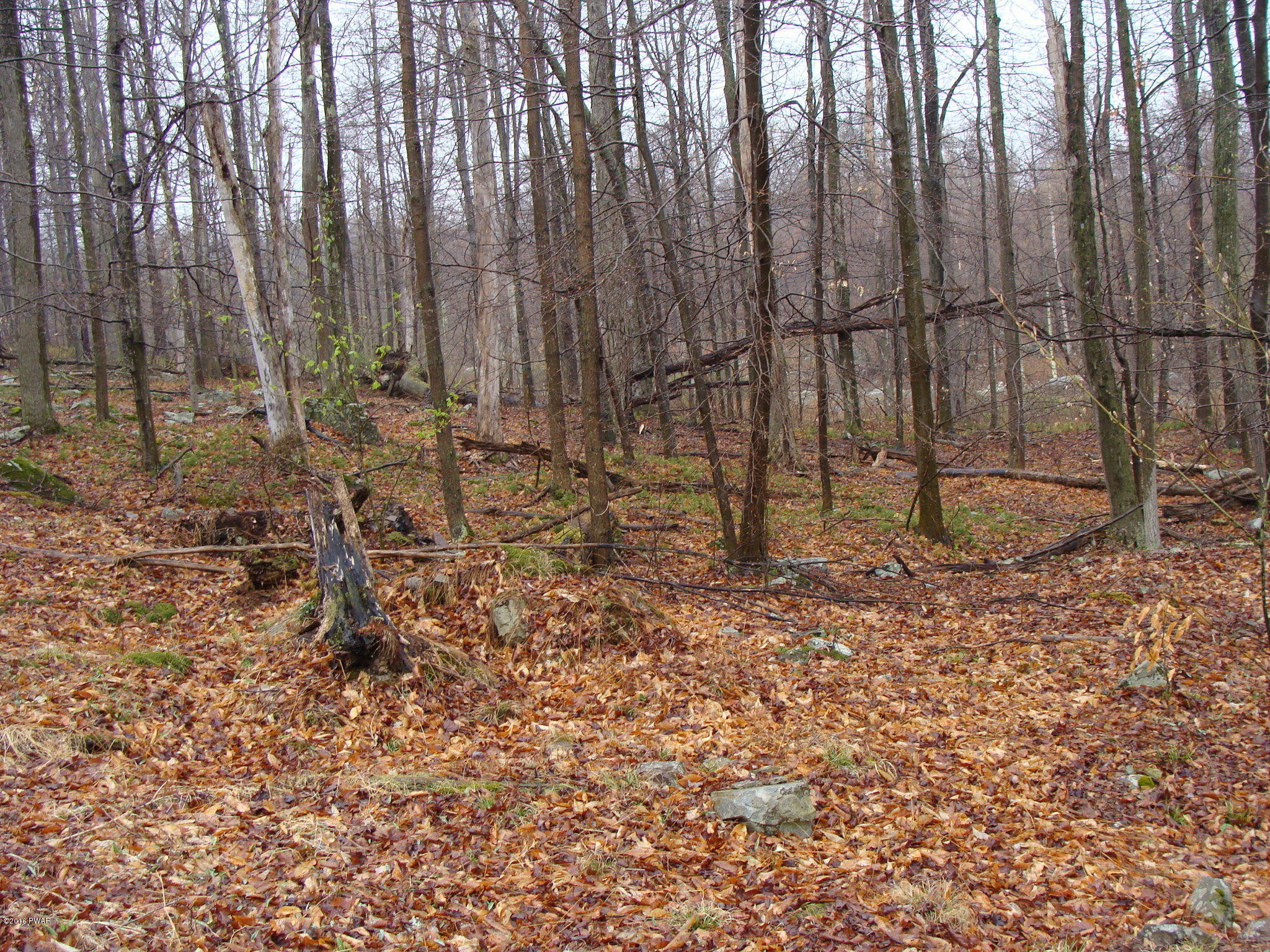 Lot 74 Alder Drive, Newfoundland, Pennsylvania image 2