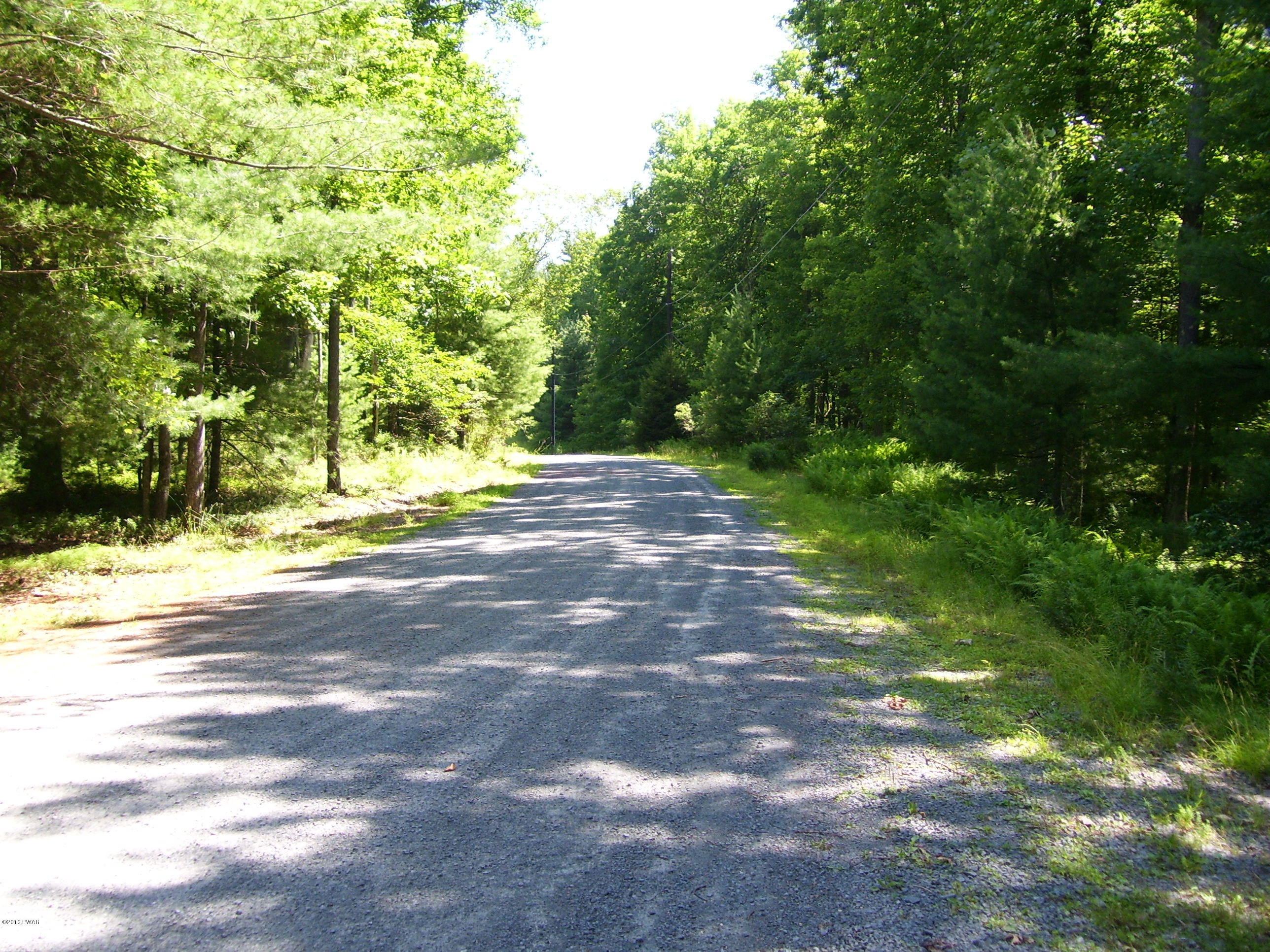 Lot #2 Rebels Road, Rowland, Pennsylvania image 8