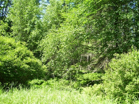 Vacant Land For Sale - LOT #2 Rebels Road<br/> Pike County, Rowland, PA 18457