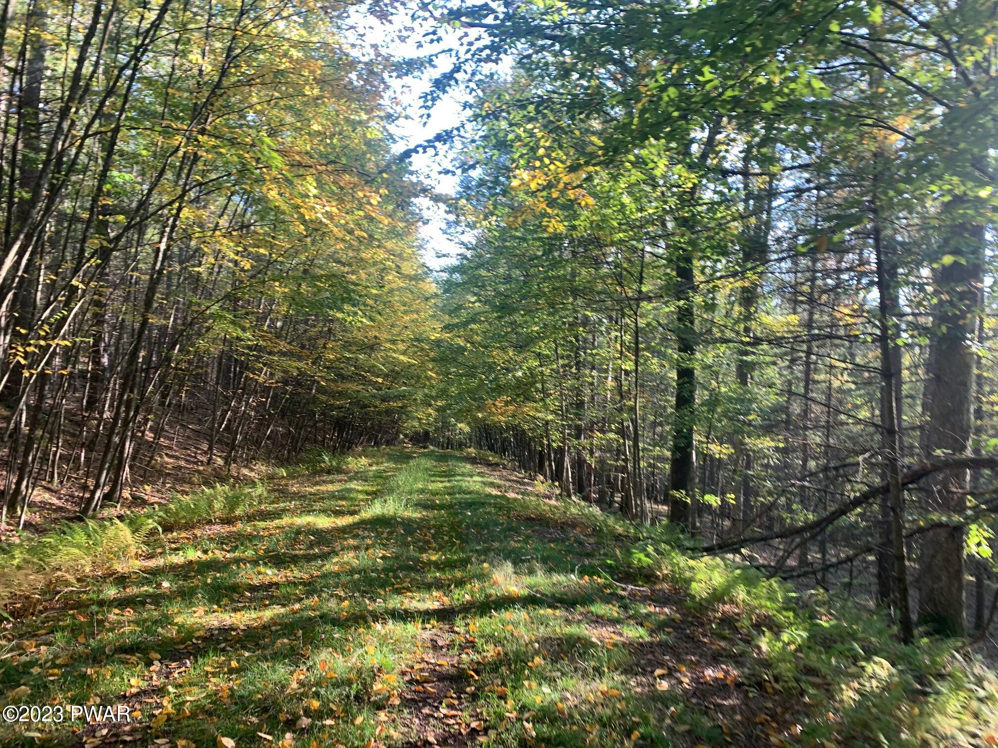 Lot 389 Creek Court, Lackawaxen, Pennsylvania image 3