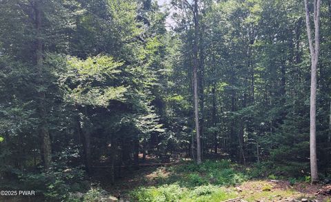 Vacant Land For Sale - Ness Road<br/> Dingmans Ferry, PA 18328