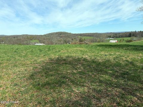 Vacant Land For Sale - 133 Marks Road<br/> Damascus, PA 18415