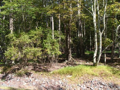 Vacant Land For Sale - LOT 593 Tamarack Lane<br/> Lake Ariel, PA 18436